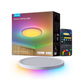 Govee 12-Inch RGBWW + RGBIC Smart Ceiling Light