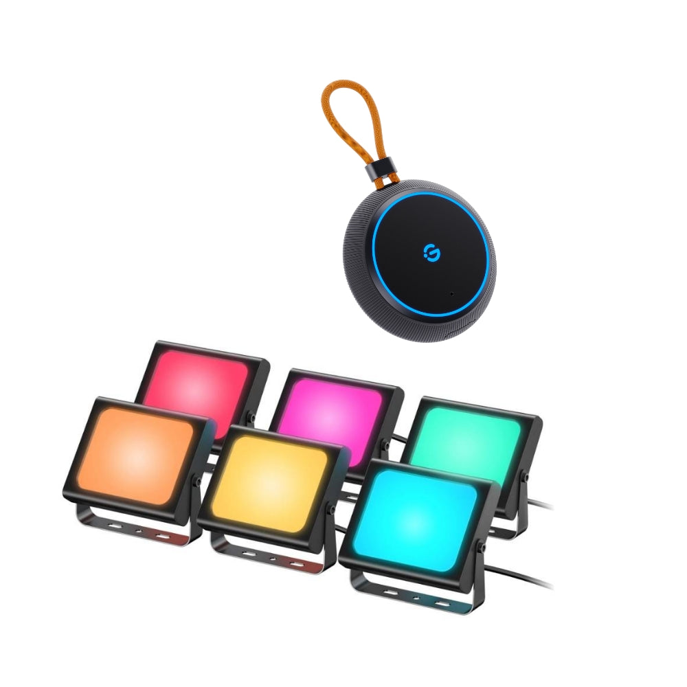 Govee Outdoor Light Show Box